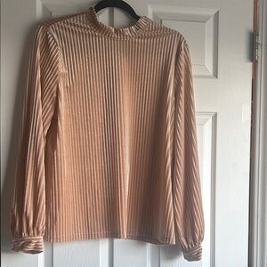 Elegant Velvet Striped Tan Blouse